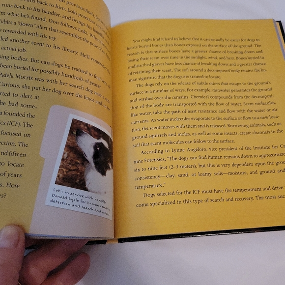 Sniffer Dogs : How Dogs (and Their Noses) Save the World by Nancy F. Cas… - Picture 4 of 6